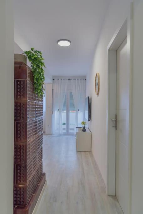 Apartman Scala Zadar Eksteriør bilde